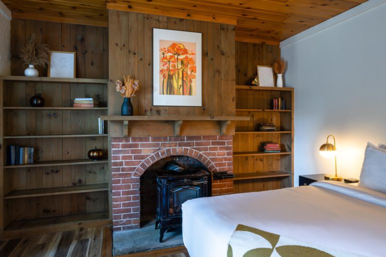A bed in a room with a fireplace and bookshelves.