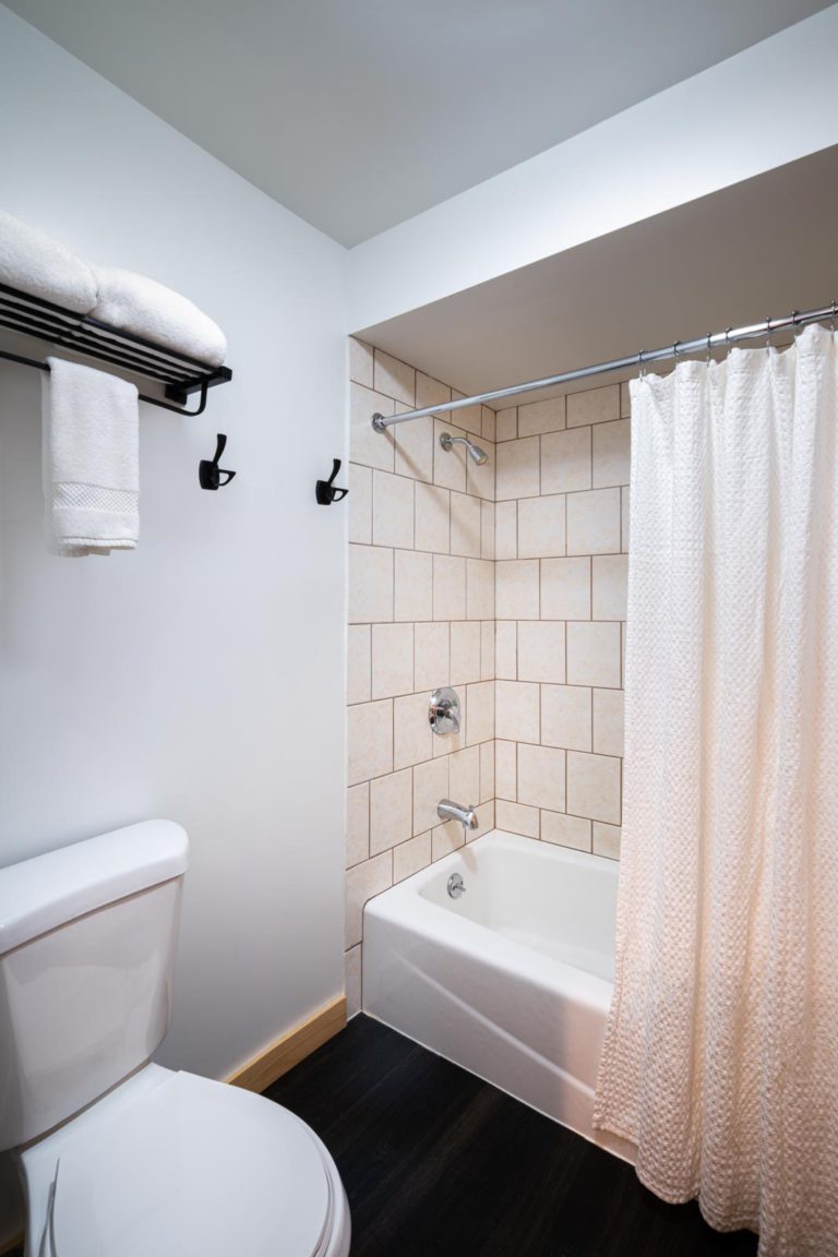 A bathroom with a toilet and a shower curtain.